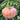 Hand extended holding and showing side view of very large Desert Spirit Landrace Squash