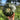 Hand holding small green Desert Spirit Landrace Squash in front of in front of vast landscape of hills and water