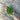 Dill *NEW* Herb seeds