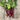 Jannis beetroots on wooden surface