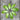 Little Gem Maureen lettuce leaves laid out on a wooden board in a circle.