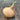 Dried Ailsa Craig Onion on a wooden table