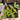 A hand holding a small plant pot with a young tomato plant