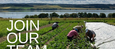 Organic Seed Production Internship Opportunity at Seeds of Scotland 2026