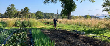 Practical Horticulture Internship Opportunity at Seeds of Scotland
