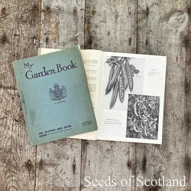Organic Pea - Gradus *NEW* Pea Seeds