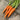 Carrot - Autumn King[focus_keyword]