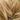 Barley - Bere Grain Seed