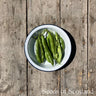 Broad Bean - The Sutton Bean Seeds