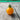 One upright yellow cherry tomato on a wooden table