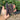 Open hand holding a bunch of purple and green Carters Polish Climbing French Beans