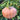 Hand extended holding and showing side view of very large Desert Spirit Landrace Squash