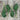 Kale - North Star Polaris *NEW* Kale Seeds