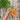 Organic Carrot Autumn King Carrot Seeds