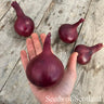 Hand holding a cured red onion with three more onions on a wooden surface