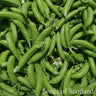 Organic Pea - Sugarsnap *NEW* Pea Seeds