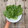 hand holding a bowl of perpetual spinach leaves over a wooden table