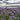 Organic Phacelia *NEW* Green manure seeds