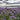 Organic Phacelia *NEW* Green manure seeds