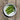 Runner Bean - Milky Fork Bean Seeds