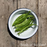 Runner Bean - Milky Fork Bean Seeds