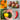 Polytunnel Party Seed Collection Seeds