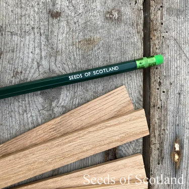Green pencil with 'Seeds of Scotland' branding on a wooden surface