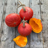 Squash - Red Uckiki Kuri Squash Seeds