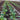 Texel Greens *New 2024/25* Salad